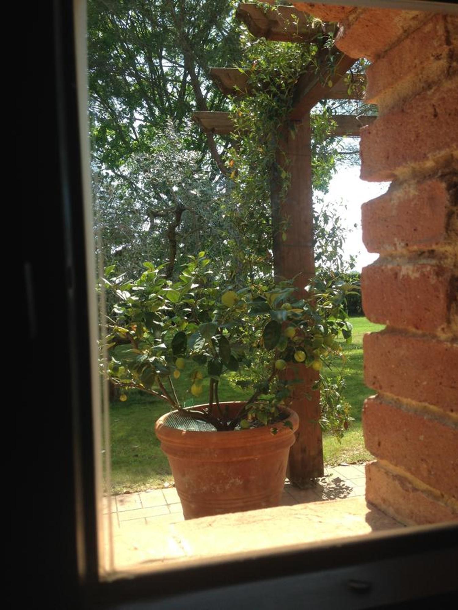 Fattoria Cirene Guest House Фолоника Стая снимка